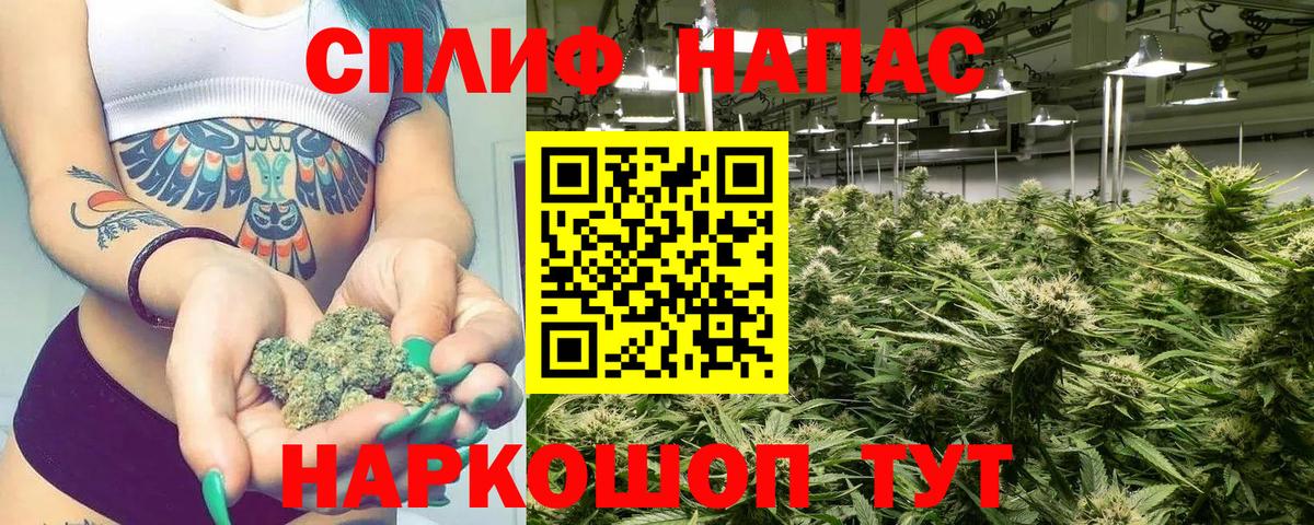 Краснокаменск  Бошки Шишки планчик  Марихуана OG Kush  Марихуана семена  Каннабис тримм  Вход с VPN 